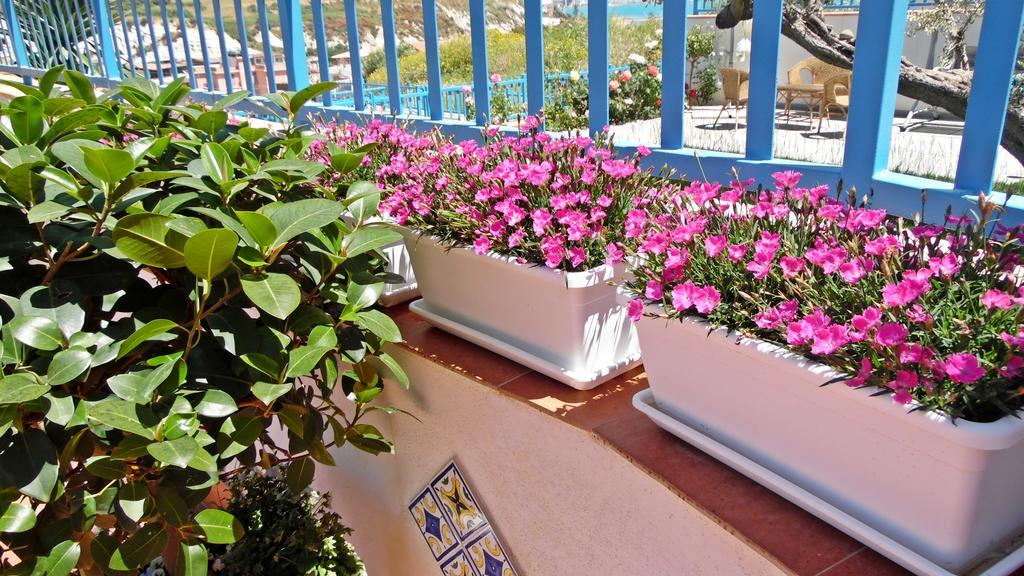 La Roccia Bianca Bed and Breakfast Realmonte Εξωτερικό φωτογραφία